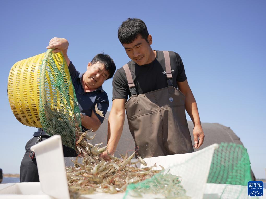 大连娱网旗牌官网下载